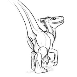 2023 3_fingers adeer ambiguous_gender animal_genitalia biped claws cloaca digitigrade dinosaur dromaeosaurid feathers feet feral finger_claws fingers full-length_portrait genital_slit genitals greyscale hi_res looking_back monochrome open_mouth open_smile portrait raised_tail rear_view reptile scalie smile solo standing tail teeth theropod toe_claws vertical_cloaca