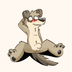 anthro anus balls blush blush_lines boxers_(clothing) brown_body brown_eyes brown_fur bulge canid canine clothing floppy_ears fur genitals hand_behind_head male mammal narrowed_eyes nervous_smile nude pawpads paws penis sitting smile solo tinnier underwear