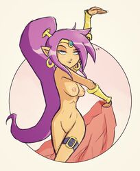 1girls alternate_skin_color arm_up blue_eyes breasts circlet dark-skinned_female dark_skin earrings female hourglass_figure kt-draws long_hair looking_at_viewer nipples nude pointy_ears ponytail pose purple_hair pussy shantae shantae_(character) shaved_pussy shawl smooth_skin solo thigh_strap tied_hair vambraces very_long_hair whitewashed