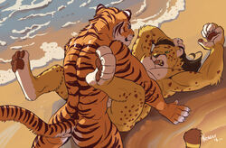 anal anthro anvil_position ass beach cheetah duo eye_contact feline kyyanno legs_up long_tail lying male mammal muscular negger nipples on_back one_eye_closed open_mouth pawpads pecs seaside sex signature tiger yaoi