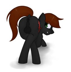 fan character from my little pony by marsminer