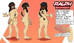 2024 alternate_version_at_source anthro ass balls beagle beanie big_balls big_butt big_penis canid canine canis clothing curled_hair digital_drawing_(artwork) digital_media_(artwork) dog_tags domestic_dog english_text freckled_butt freckles freckles_on_face genitals hair hat headgear headwear hi_res hunting_dog male mammal model_sheet penis pubes ralph_(yuckyalternate) scent_hound skateboard skater solo spots tail vehicle yuckyalternate