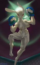 1girl 1girls 2022 5_fingers abs absurd_res angry anthro artist_name blue_boxing_gloves blue_clothing blue_handwear boxing_gloves breasts breath breathing brown_nipples brown_pussy clothing colored deu digital_media_(artwork) eyebrows eyelashes feet female fighting_pose fighting_ring fingers fur genitals handwear hi_res lagomorph leporid light lighting looking_at_viewer low-angle_view mammal muscular muscular_anthro muscular_female muscular_thighs navel nipples nude pose pussy rabbit rabbit_ears red_eyes solo text white_body white_fur white_sclera