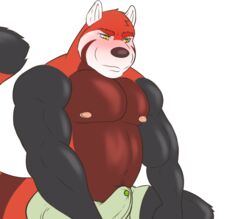 biceps bulge fur male male_only mammal nipples pecs rain-yatsu red_panda