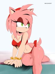 amy rose from sega by soranygy