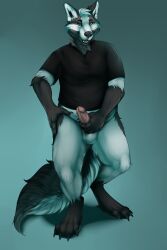 2018 anthro balls black_body black_fur bottomless bottomless_anthro bottomless_male canid canine clothed clothing erection fox fur gay gay_male genitals grey_body grey_eyes grey_fur hand_on_hip hi_res holding_penis homosexual homosexual_male humanoid_genitalia humanoid_penis looking_at_viewer male male/male male_anthro male_only male_penetrating mammal mintyderg open_mouth open_smile pacato penis pink_penis red_fox shirt shirt_only simple_background slightly_chubby slightly_chubby_anthro slightly_chubby_male smile smiling_at_viewer solo standing tail teeth tongue topwear topwear_only true_fox white_body white_fur