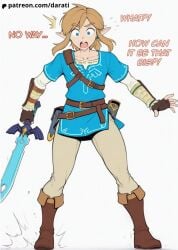 Link (Breath Of The Wild) Rule 34 Image