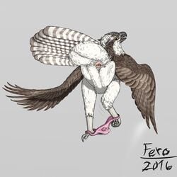 2016 anatomically_correct animal_genitalia ass avian beak bird cloaca clothed clothing crossdressing feathered_wings feathers feral ferobird male osprey panties pinup pose presenting presenting_cloaca presenting_hindquarters rear_view simple_background tail_feathers underwear uppmap123 winged_arms wings