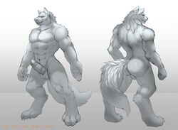 canine erection male_only mammal muscular penis wolf xuan_sirius