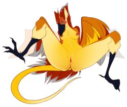 anthro avian beak bird breasts feathered_wings feathers female nude pussy slightly_chubby solo spread_legs spreading teil thick_thighs wings