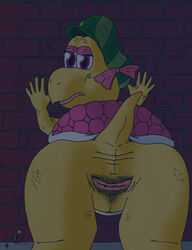 anatomically_correct anatomically_correct_pussy animal_genitalia animal_pussy anthro ass cloaca clothed clothing female koopa kylie_koopa looking_at_viewer looking_back mario_(series) mario_and_luigi:_partners_in_time mario_and_luigi_(series) nintendo nude presenting presenting_hindquarters pussy reptile roseee scales scalie shell solo turtle