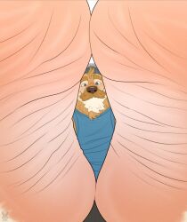 anthro bara barazoku big_feet canine dog feet flufflecraft foot_fetish furry golden_retriever male male_only muscles muscular solo solo_male