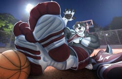 anthro bara barazoku basketball big_feet canine dog feet flufflecraft foot_fetish furry male male_only muscles muscular socks solo solo_male