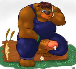 Chipper (Character) Rule 34 Image