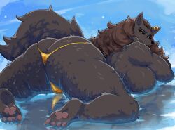 1girls anthro anthro_female ass bikini bikini_bottom black_fur black_sclera brown_hair fang female fur furry furry_female gold_bikini gold_bikini_bottom hair in_water library_of_ruina littleteze looking_at_viewer pawpads paws project_moon reflection tail tanya_(library_of_ruina) water wolf wolf_girl wolf_tail yellow_eyes