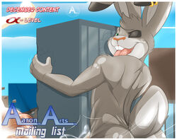 1boy aaron_(artist) advertisement anthro ass big_penis cum cum_flood destruction ear_piercing excessive_cum flood hector_the_bunny hyper hyper_penis lagomorph macro male male_only mammal nude penis piercing rabbit solo