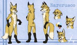 animal_genitalia anthro apes balls canine fox looking_at_viewer male mammal model_sheet nude sheath smile solo standing