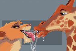 ambiguous_gender bedroom_eyes disney eye_contact feline female female_feral feral giraffe half-closed_eyes interspecies kissing lion mammal saliva saliva_string seductive the_lion_king tongue tongue_out ungulatr vitani