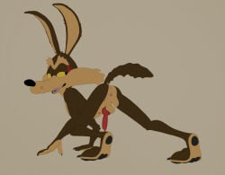 wile e. coyote from looney tunes