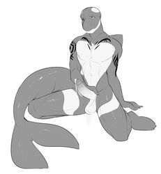 anthro cetacean dolphin erection humanoid_penis kneeling looking_at_viewer male male_only mammal marine monochrome nude penis solo tattoo teil