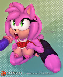 2016 amy_rose anthro areola big_breasts breasts duo erect_nipples erection female hedgehog male mammal nipples nude penis pussy scificat sonic_(series) sonic_the_hedgehog