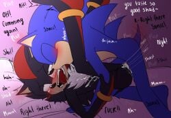 anal anthro balls blush bodily_fluids cum cum_in_ass cum_inside cum_on_own_belly drooling duo genital_fluids genitals male male/male penis saliva sega shadow_the_hedgehog sonic_the_hedgehog sonic_the_hedgehog_(series) zoley