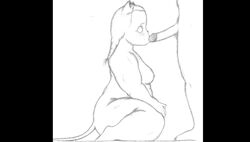 animated anthro breasts cute duo featureless_crotch feline feline fellatio invalid_tag loop male mammal mouse oral penis pillarbox rodent sex slightly_chubby