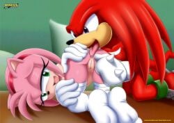 amy rose from sega by bbmbbf