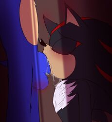 anthro balls blush bodily_fluids dialogue drooling duo genitals male male/male oral penis saliva sega shadow_the_hedgehog sonic_the_hedgehog sonic_the_hedgehog_(series) zoley