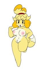 1girls animal_crossing belly belly_button big_thighs breasts canid cute eyes female female_only furry furry_only gb_color isabelle_(animal_crossing) nude oc open_eyes open_mouth pussy tagme tail thighs tits tongue uncensored