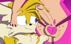 absurd_res amy_rose anthro blue_eyes bodily_fluids canid canine cheek_tuft chibitay dripping eulipotyphlan facial_tuft fluffy fluffy_chest fluffy_ears fluffy_tail fox freckles fur furry futa_with_male futanari genital_fluids gynomorph heart_(marking) heart_symbol hedgehog hi_res intersex mammal markings miles_prower pink_body pink_fur precum precum_drip quills_(anatomy) sega sonic_(series) sonic_the_hedgehog_(series) tail tails tails_the_fox tuft white_body white_fur yellow_body yellow_fur