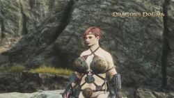 dragon's_dogma female huge_breasts tagme