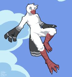 animated anthro avian avian_feet balls beak biped bird cloud columbid dove feet flaccid floppy_penis flying genitals hopful_anomenoe humanoid_genitalia humanoid_penis male male_anthro male_only nopetrol nopetrol_(character) nude penis short_playtime sky solo talons toes white_body