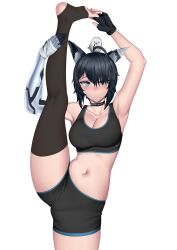 2d absurdres animal_ears bird black_hair black_sports_bra blue_eyes blush breasts choker cleavage collar deepfried female fingerless_gloves gloves highres large_breasts leg_up light-skinned_female light_skin mechanical_arms medium_breasts navel nose_blush pale-skinned_female pale_skin pout shorts simple_background single_mechanical_arm sports_bra thighhighs virtual_youtuber vrchat vrkisu vtuber wolf_ears wolf_girl