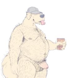 1boy alcohol anthro arm_hair armpit_hair bad_bovine balls beer belly beverage beverage_can bird_dog body_hair canid canine canis chest_hair clothing domestic_dog flaccid foreskin fur furry genitals golden_retriever hairy hairy_balls hairy_legs hat hat_only headgear headgear_only headwear headwear_only hi_res holding_object hunting_dog male male_only mammal mostly_nude musclegut muscular navel nipples penis pubes retriever solo tallywhacker tongue tongue_out yellow_body yellow_fur