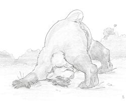 2024 alternate_species ambiguous_gender anthro anus bear breasts dax_(dax1) duo female flinters forefox genitals gloves_(marking) greyscale heart_symbol hi_res leg_markings mammal markings monochrome nude plant pussy rule_63 scut_tail short_tail shrub socks_(marking) tail upside-down