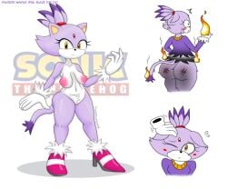 blaze_the_cat sonic_(series) sonic_the_hedgehog_(series) tagme touhoufan