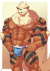 abs absurd_res anthro arcanine biceps bulge clothed clothing detailed_bulge generation_1_pokemon hair hi_res looking_at_viewer male male_only muscular muscular_male nintendo nipples pokemon pokemon_(species) pubes shinobiya solo solo_male tied_hair underwear underwear_only windy_(shinobiya)