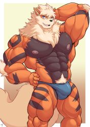 abs absurd_res anthro arcanine biceps bulge clothed clothing detailed_bulge fen_(kulplant) generation_1_pokemon hi_res looking_at_viewer male male_only muscular muscular_male nintendo nipples pokemon pokemon_(species) pose pubes shinobiya solo solo_male underwear underwear_only