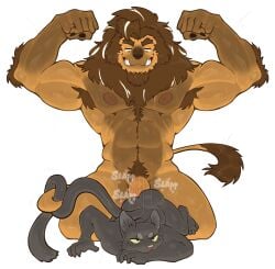 absurd_res anthro barazoku bite bodily_fluids cum cum_inside doggy_style domestic_cat dominant dominant_male duo felid feline felis from_behind_position genital_fluids hi_res lion male male/male mammal muscular nipples pantherine pecs scar scottdeer self_bite sex sound_effects submissive submissive_male sweat zabi