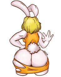 carrot (one piece) from one piece by patatero69