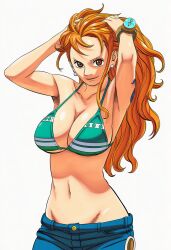nami (one piece) from one piece