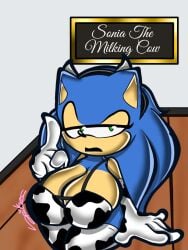 sonic the hedgehog from sega by wabbix toons
