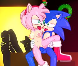 amy_rose breasts public pussy sex sonic_(series) sonic_the_hedgehog thanu vaginal_penetration