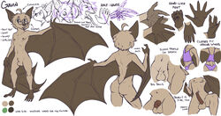 2016 animal_genitalia balls bat brown_fur eyewear fur gavin girly glasses male mammal model_sheet nude penis sheath solo unimpressive winged_arms wings