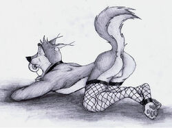 anthro anthrofied anus ass balto_(film) canine fishnet husky male mammal presenting solo star star_(balto) tail_up