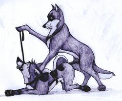 anal balto balto_(film) bondage bound canine feral husky kaltag male mammal sleddog star yaoi