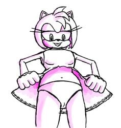 amy_rose anthro clothing exposing female female_only fur furry furry_only gloves half-closed_eyes monochrome panties simple_background solo sonic_(series) sonic_riders standing tail underwear upskirt white_background wildswingding