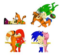 amy_rose ass blue_fur charmy_bee chocolate fruit furry groping hedgehog knuckles_the_echidna mammal manic_the_hedgehog marine_the_raccoon shade_the_echidna sonic_(series) sonic_boom sonic_the_hedgehog sticks_the_badger sticks_the_jungle_badger sticks_the_tejon tail underwear