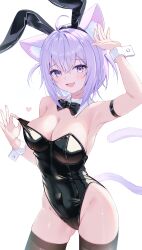 nekomata okayu from hololive